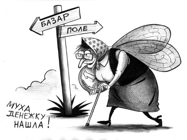 Муха карикатура