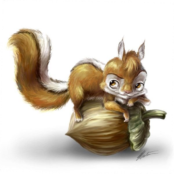 Белка на велосипеде