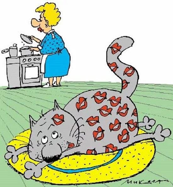 Кошка карикатура