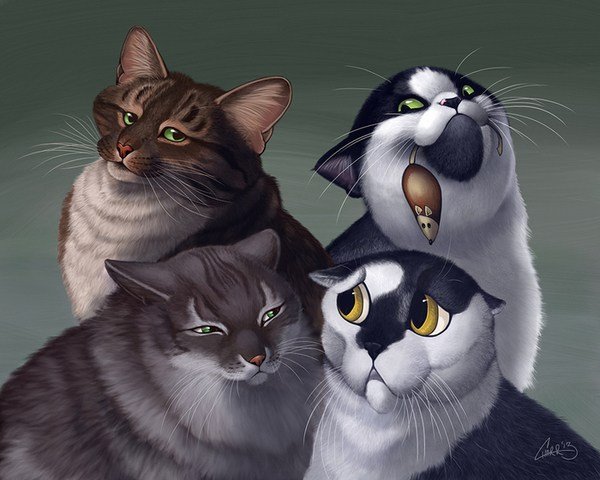 Шарж с кошкой