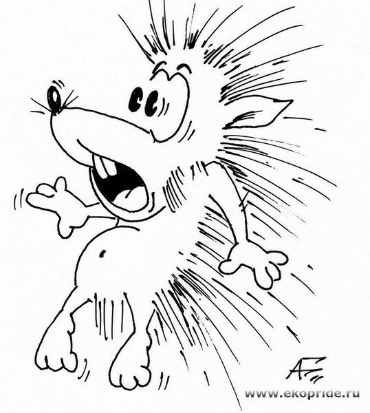 Испуганный Ежик