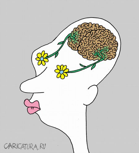 Мозги карикатура
