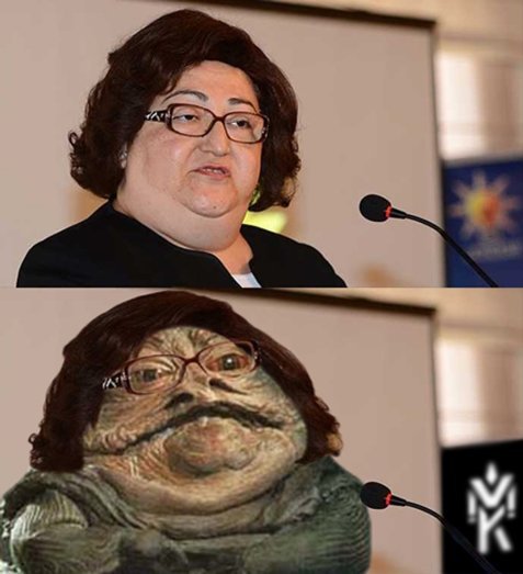 Новодворская карикатуры