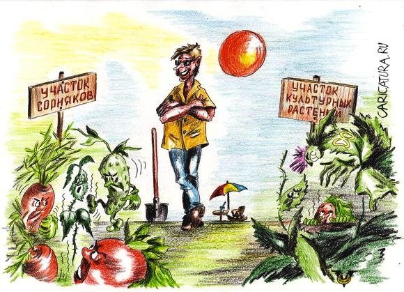 Шарж огород