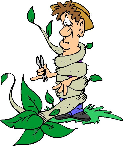 Шарж женщине на юбилей