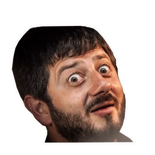 Шарж на Михаила Галустяна