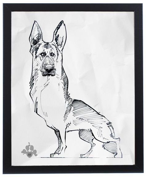 Набросок собаки овчарки