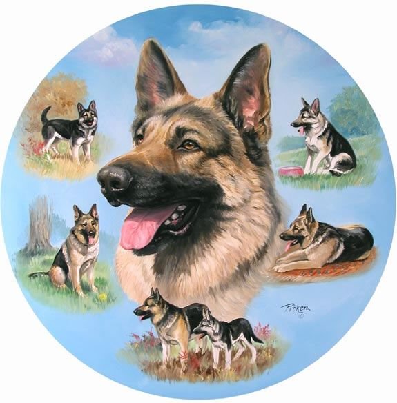 Шарж овчарка