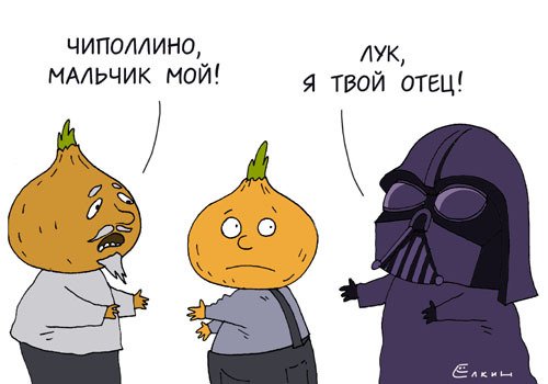 Лук я твой отец Чиполлино