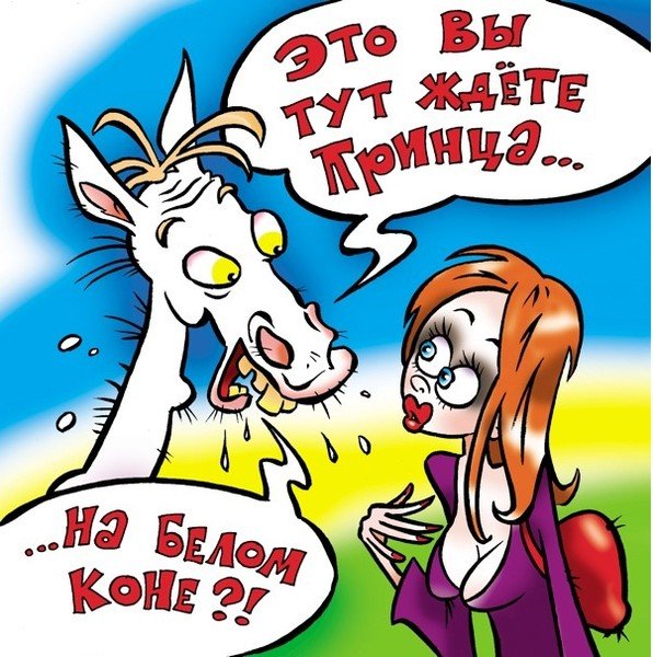 Принц на белом коне карикатура