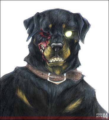 Ротвейлер мульт