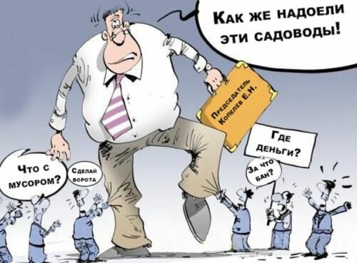 Общественные слушания карикатура