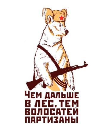 Кот Партизан