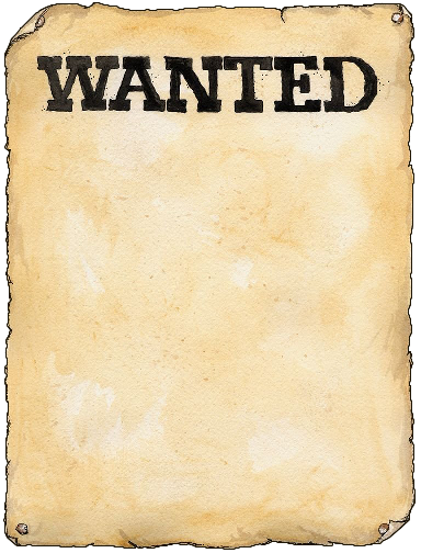 Wanted разыскивается
