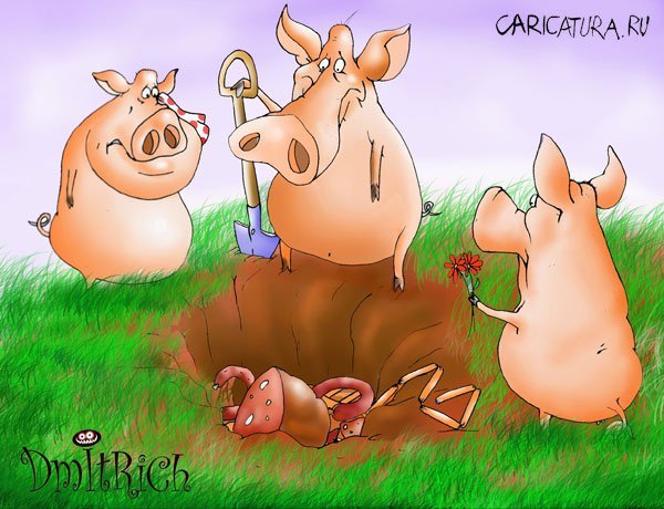 Свинья карикатура