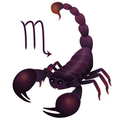 Знак зодиака Скорпион