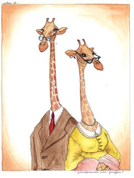 Юмор про Жирафов