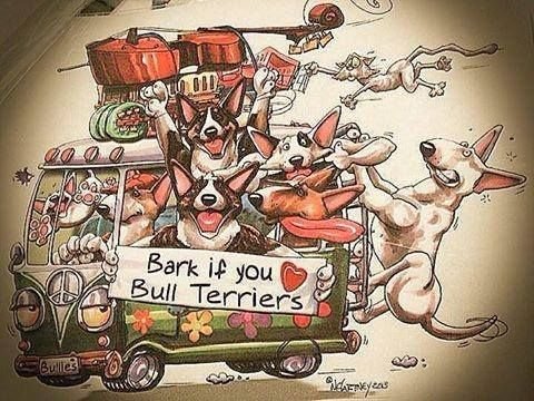 Бультерьер карикатура