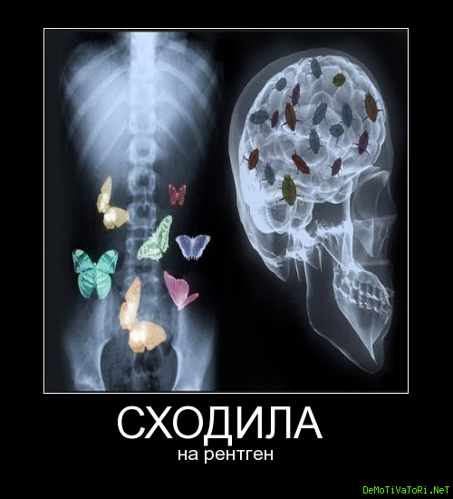 Поросенок юмор