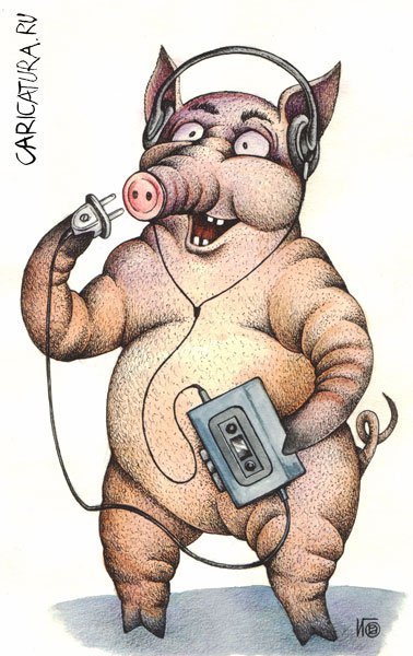 Свинья карикатура