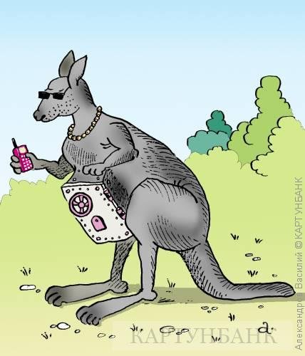 Австралийский кенгуру карикатура