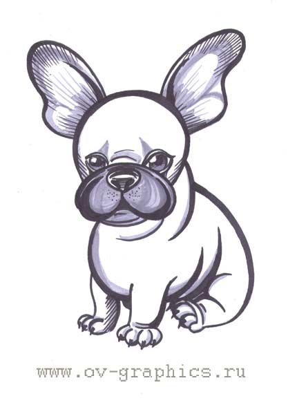 Смешные рисунки собак карандашом