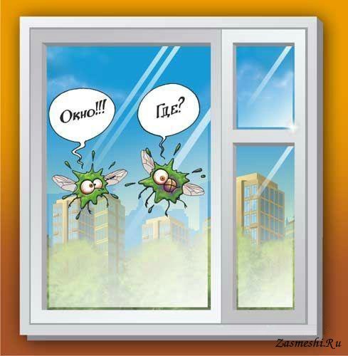 Смешные рисунки на окнах