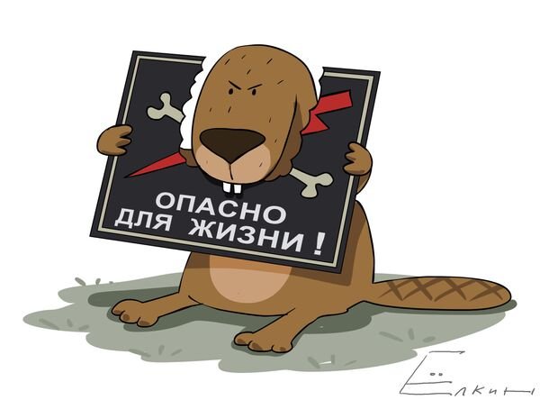 Карикатура на бобра