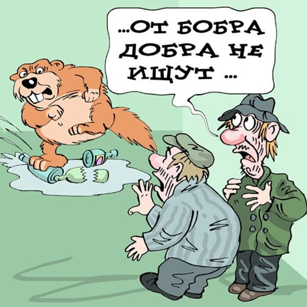 Карикатуры на Бобров