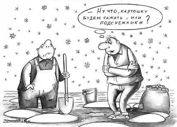 Карикатура рыбалка зимой