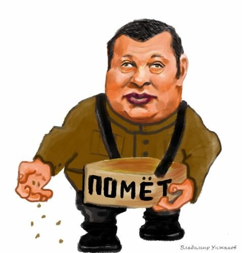 Владимир Соловьев карикатура