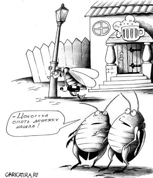 Муха карикатура