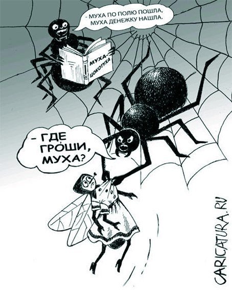 Шутки про пауков
