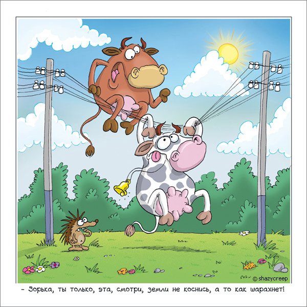 Корова карикатура