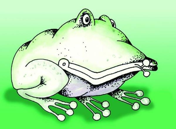 Лягушонок карикатура