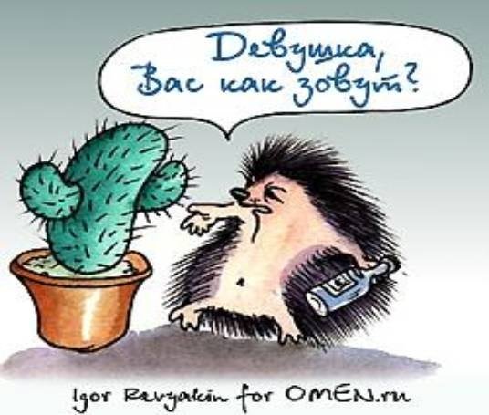 Анекдот про ежа