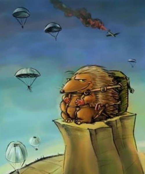 Ёжик на войне