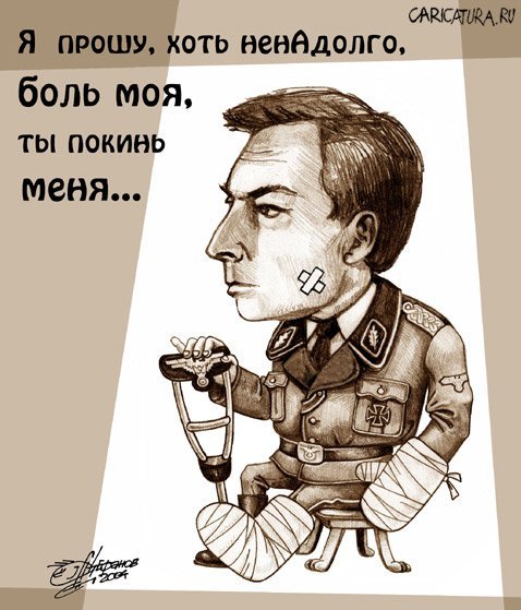 Штирлиц карикатура