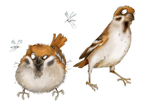 Злой Воробей