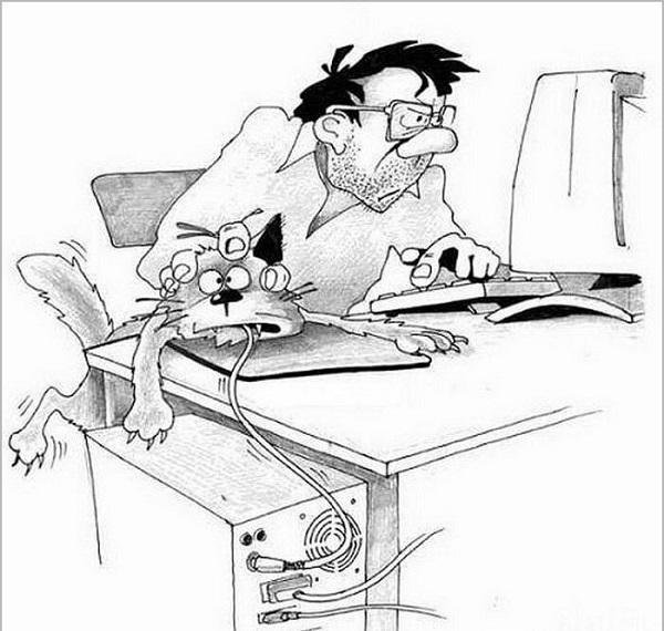 Шарж программист