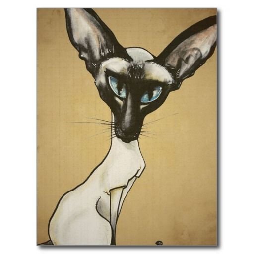 Художник рисунки ориентальных кошек