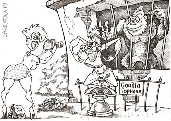 Смешные карикатуры про зоопарк