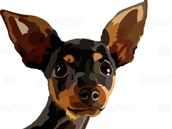 Арт той терьер черный