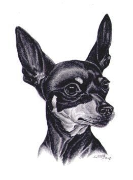 Цвергпинчер тату эскиз