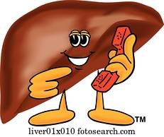 Смайл печень