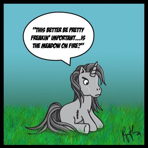 Лошадь юмор