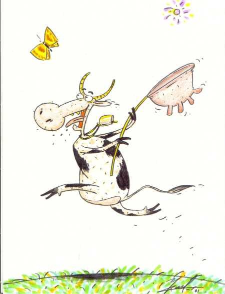 А что там смешные картинки