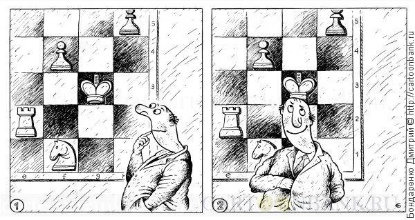 Шахматный Король юмор