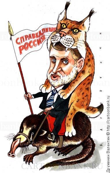 Сергей Миронов карикатура
