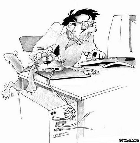 Карикатуры на айтишников
